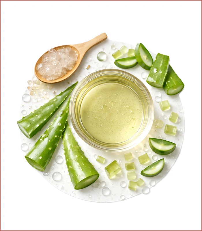 مستخلص الالوفيرا المائية